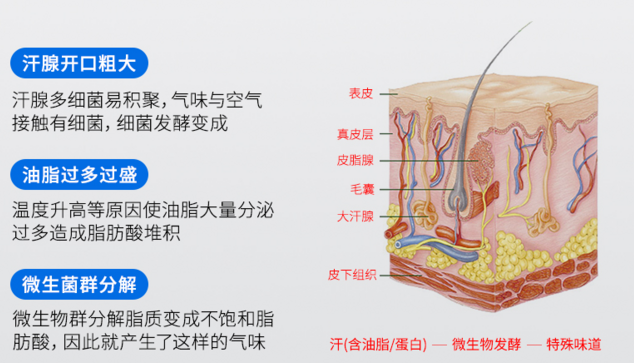 �շ�Ҹ����ԭ��